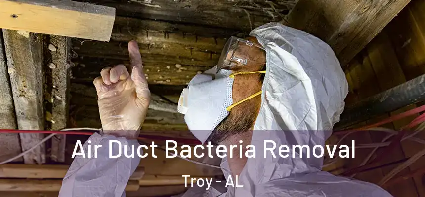  Air Duct Bacteria Removal Troy - AL
