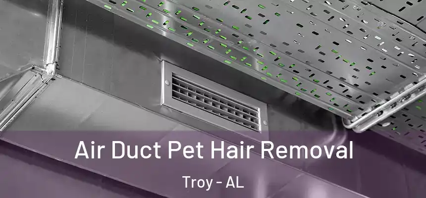  Air Duct Pet Hair Removal Troy - AL