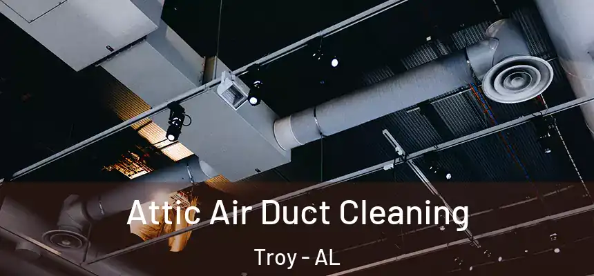  Attic Air Duct Cleaning Troy - AL
