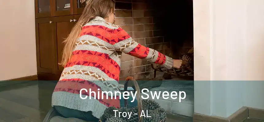  Chimney Sweep Troy - AL