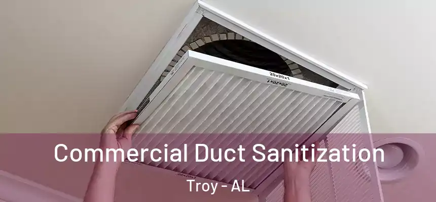  Commercial Duct Sanitization Troy - AL