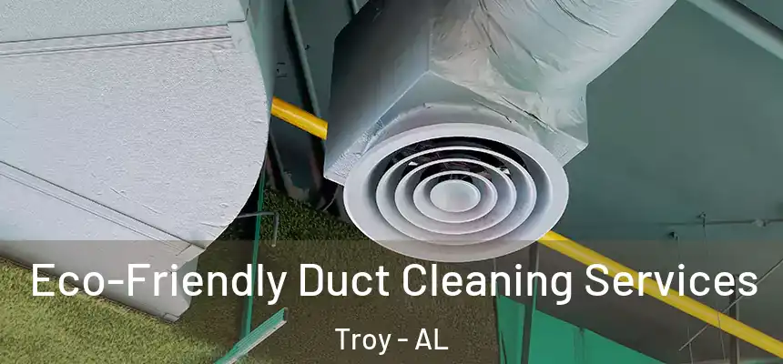 Eco-Friendly Duct Cleaning Services Troy - AL
