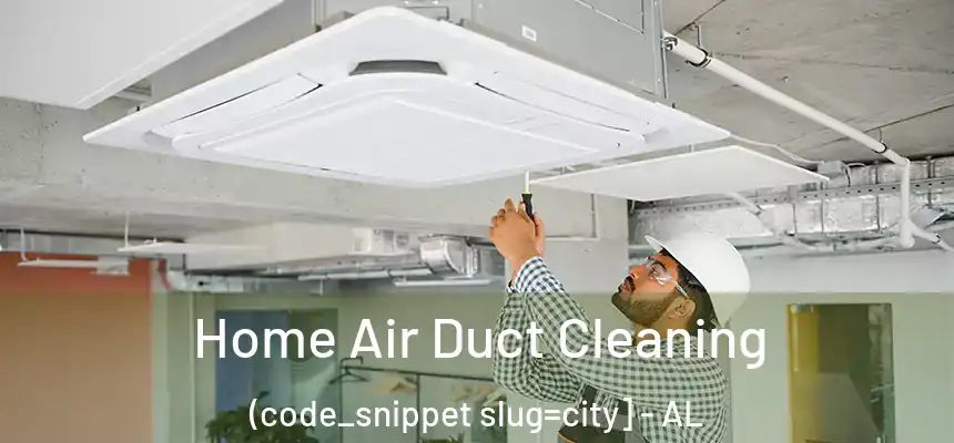  Home Air Duct Cleaning (code_snippet slug=city] - AL
