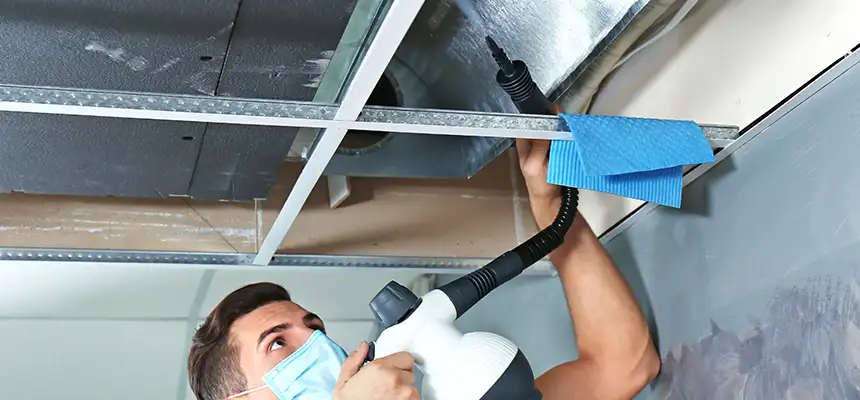 Our Air Duct Rodent Removal Services in Troy, AL