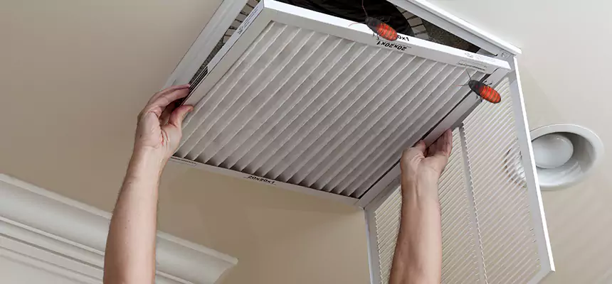 Our Insect Removal from Air Ducts Services in Troy, AL