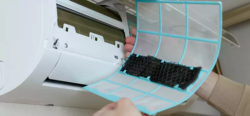 Gentle Ductwork Odor-Control Pet Dander Duct Cleaning in Troy, AL