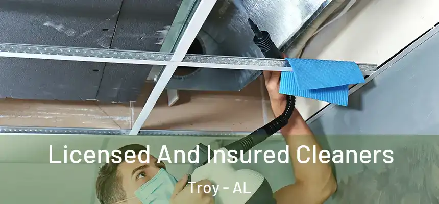 Licensed And Insured Cleaners Troy - AL