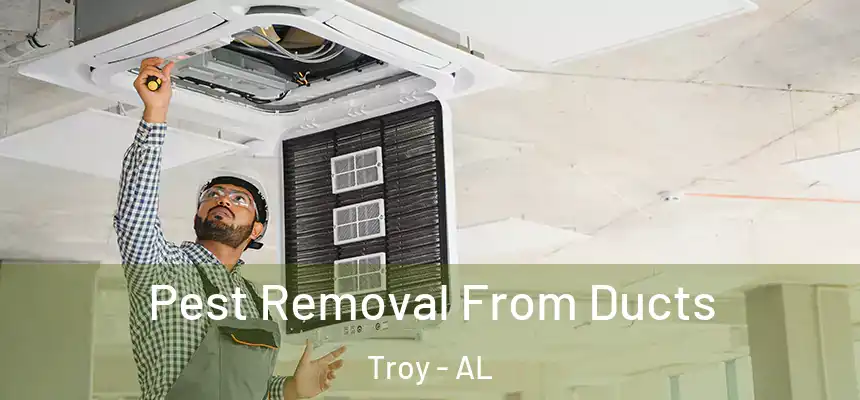  Pest Removal From Ducts Troy - AL