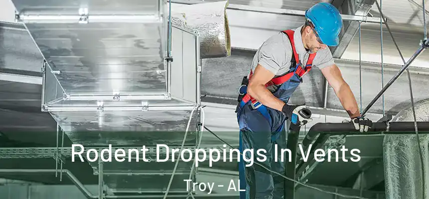  Rodent Droppings In Vents Troy - AL