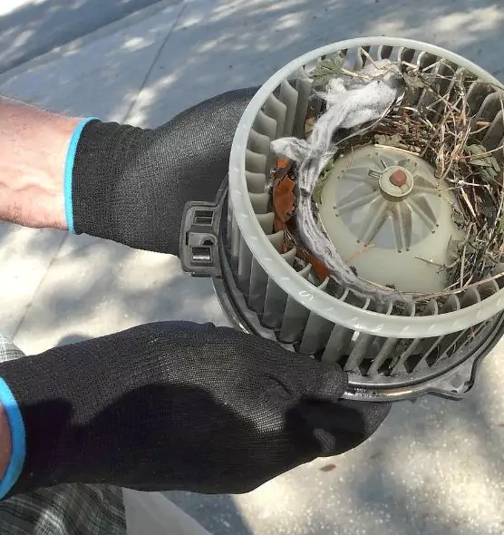 About Air Duct Mice Removal in Troy, AL