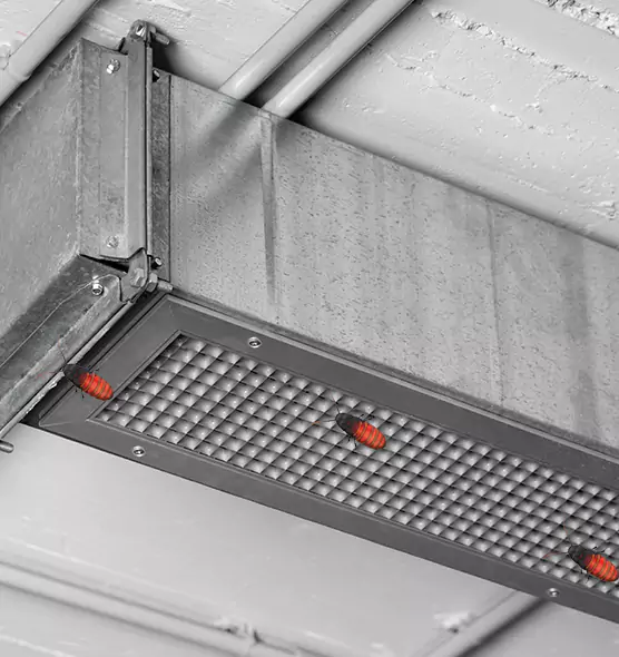 Affordable Insect Removal from Air Ducts in Troy, AL