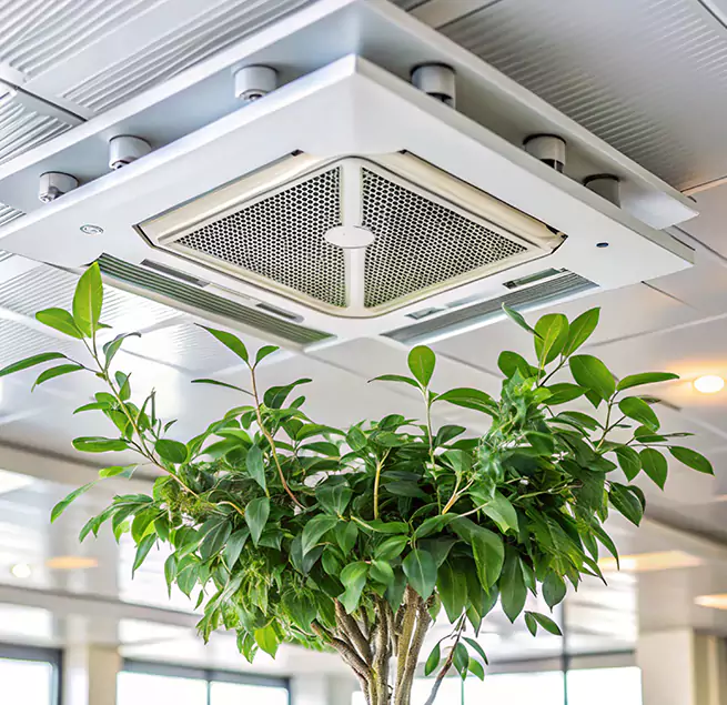 Why Homeowners & Businesses Trust Us in Troy, AL?