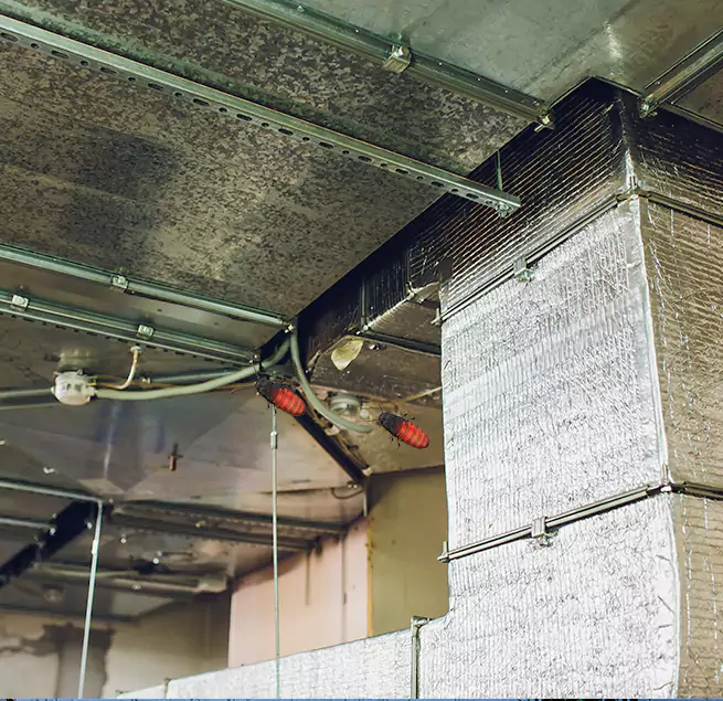 Why Homeowners & Businesses Trust Us Troy, AL?