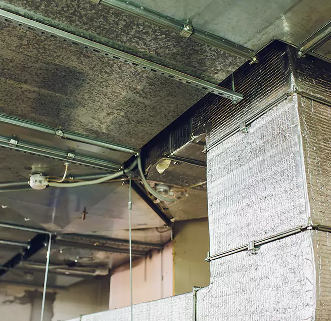 Why Homeowners & Businesses Trust Us in Troy, AL?